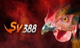 SV388 link là gì? Tại sao link truy cập Sv388 hay bị thay đổi