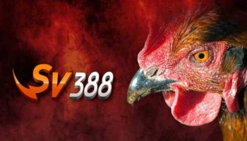 SV388 link là gì? Tại sao link truy cập Sv388 hay bị thay đổi